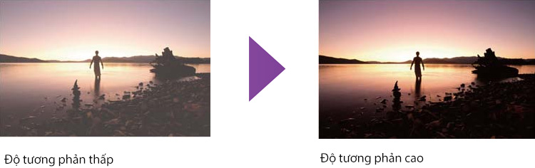 Độ tương phản cao được cải thiện trên máy chiếu phim 3D EPSON EH-TW570